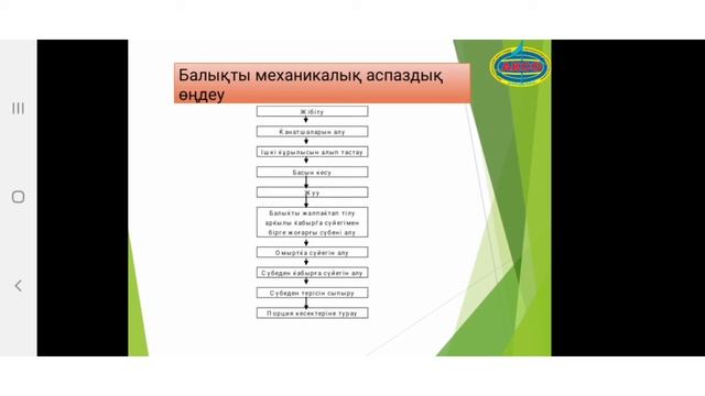 Балықты механикалық аспаздық өңдеу смотреть онлайн