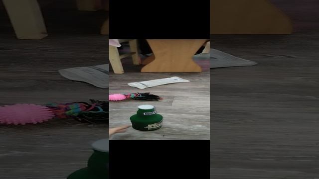 Бони и новая игрушка