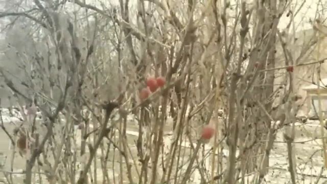 Astana, December moments 2017 смотреть онлайн