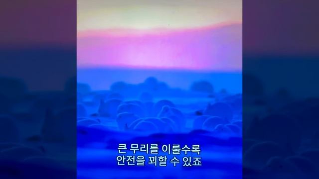 1 북극 토끼! #무심세월 #민수현 смотреть онлайн