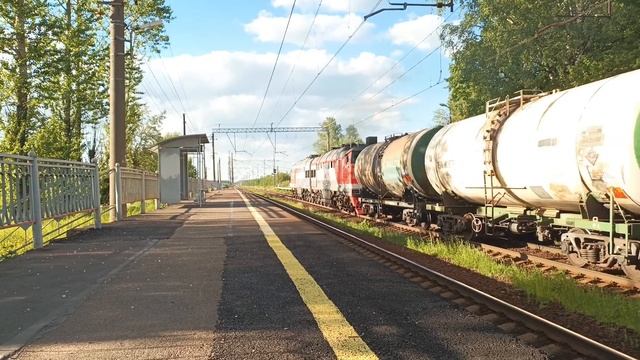 "Дал медведя!" Гибрид 2ТЭ116-1508А/1425Б с наливным поездом, платформа Суйда смотреть онлайн