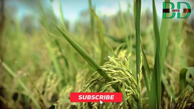 about bangladesh|| বাংলাদেশ সম্পর্কে জানুন||about Bangladesh in 2 minutes||2 মিনিটে বাংলাদেশ смотреть онлайн