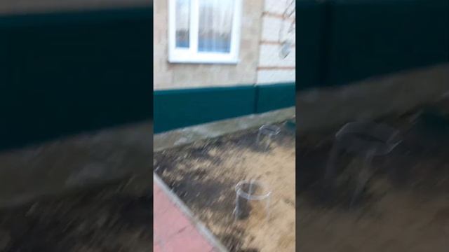 салат обжорка 😉но не с мясом, на улице теплота❤️ смотреть онлайн