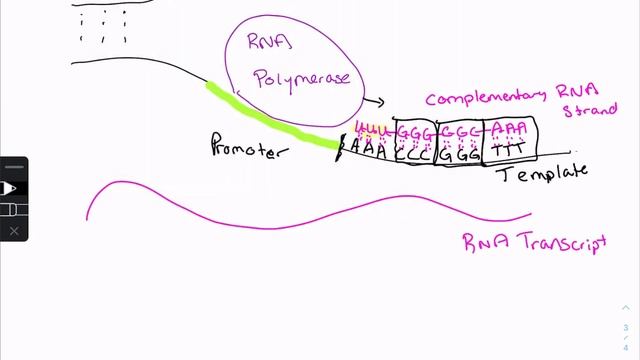 F2021 Gene Regulation смотреть онлайн