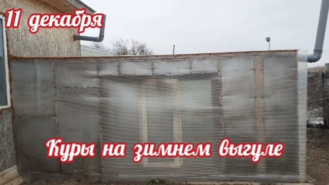 курочки на зимнем выгуле... смотреть онлайн