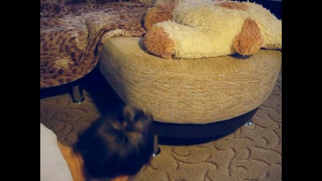 Жизаа! Жизненные ситуации:)||Entertainment Area смотреть онлайн