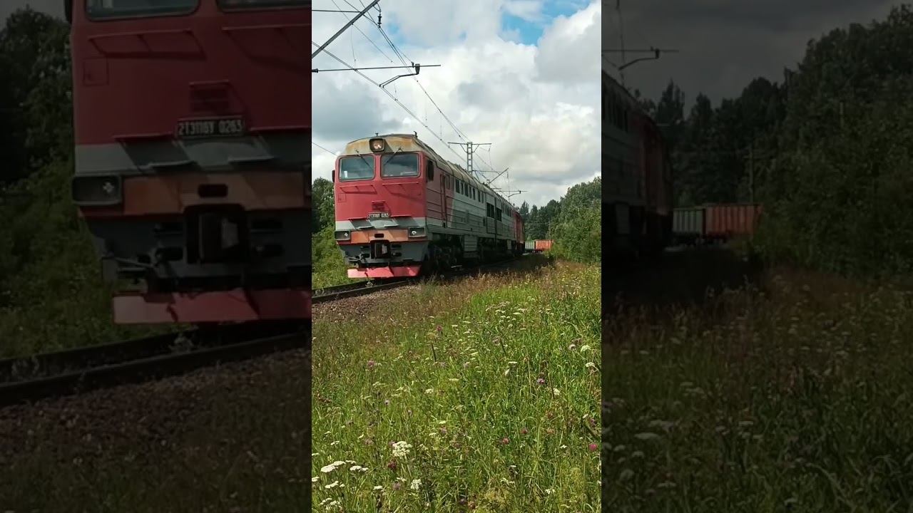 Никто не вечен ничто не вечно смотреть онлайн