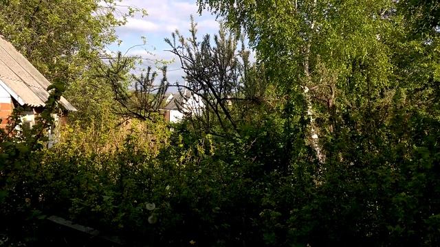 WP 20160529 18 29 29 Pro смотреть онлайн