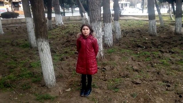 Иван Андреевич Крылов, басня «Ворона и лисица» — декламирует Ханум, 9 лет... смотреть онлайн