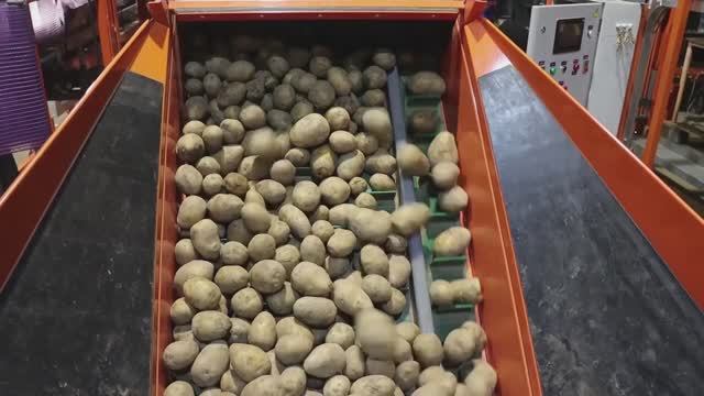 Видеоинструкция по первоначальной приемке и запуску Фасовочно-упаковочного комплекса АБС-1 смотреть онлайн