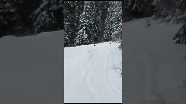 Ночью был ледяной дождь.