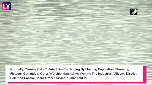 Yamuna River Water Quality Improves, Turns Blue, Looks Cleaner, Amid Coronavirus Lockdown смотреть онлайн