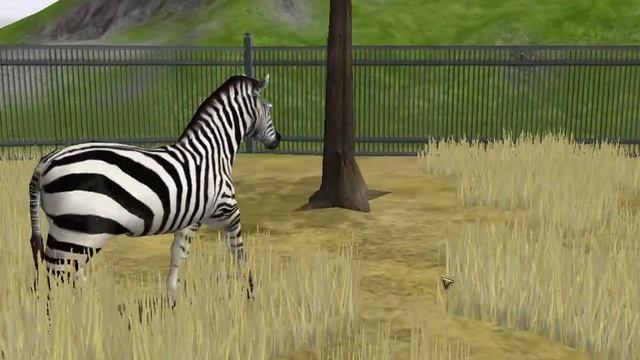 Wildlife Park 2 Plains Zebra Showcase HD смотреть онлайн
