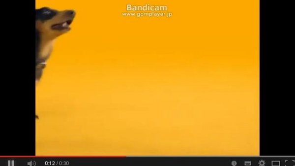 Реклама Pedigree