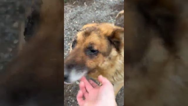 Тихон смотреть онлайн