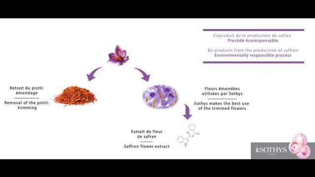 Jeunesse Youth Safran Saffron Sothys Paris смотреть онлайн