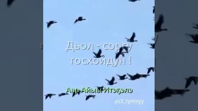 Аар Айыы Итэҕэлэ смотреть онлайн