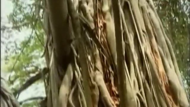 Фильм «Дороги в Кулу» (фрагмент с участием Л.В. Шапошниковой и Ю.М. Воронцова). 2007 смотреть онлайн