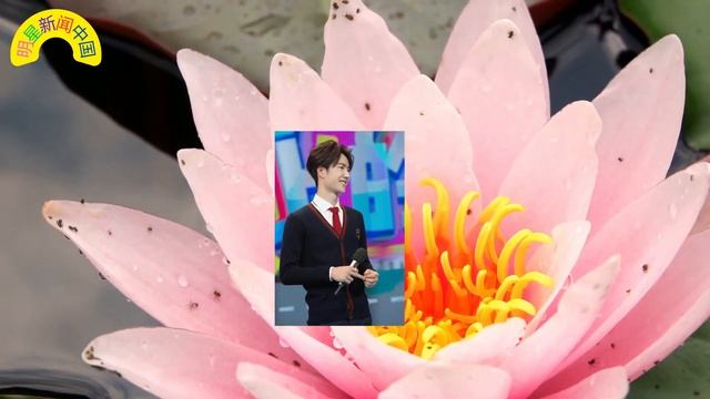 《#酱园弄 》引发轰动，传张子枫压过杨幂 #赵丽颖 出演女二，#王一博 到底发生了什么？连说了八个“不要”，下一秒笑得好甜！ 【明星新闻中国】 смотреть онлайн