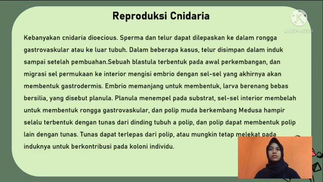 PRESENTASI FILUM CNIDARIA DAN CTENOPHORA ZOOLOGI INVERTEBRATA | MAHASISWA SEMESTER 3 смотреть онлайн