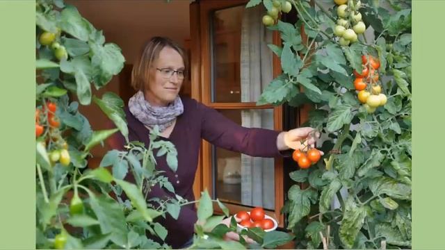 EM-Webinar "Urban Gardening - Balkongärtnern" mit Profigärtner Rainer Steidle смотреть онлайн