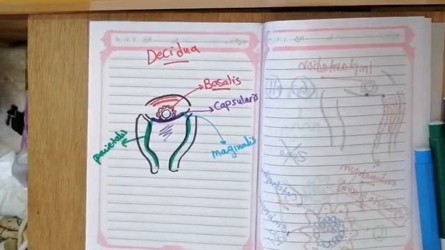 Embryology 3: Decidua, placenta previa, Ectopic pregnancy - Dr. Amira Azzazy смотреть онлайн