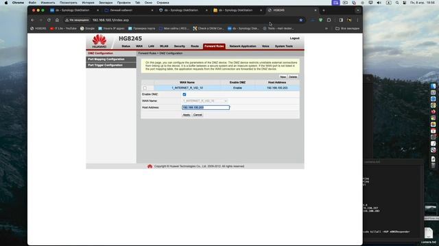 Собственный DNS сервер на Synology. Как ускорить интернет. Split DNS + Reverse Proxy смотреть онлайн
