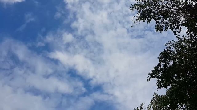 Всё течёт. Всё изменяется... смотреть онлайн