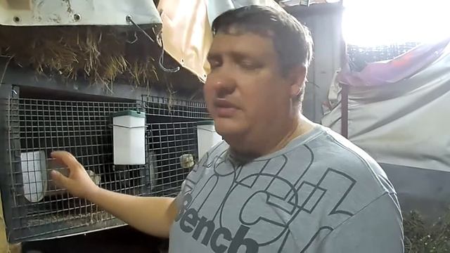 Трішки про кроликів. Хвороби кроликів#кролики #україна смотреть онлайн