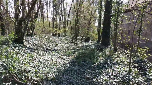 Starý Zámek.. Bravantice смотреть онлайн