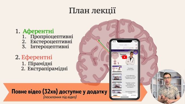 Провідні шляхи центральної нервової системи смотреть онлайн