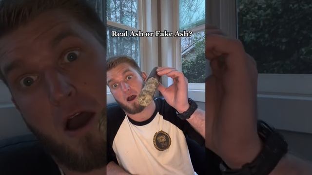 Cigar Gift Idea, April Fools Aslyum! #cigars #cigar #ash #cigarlife #cigaraficionado смотреть онлайн