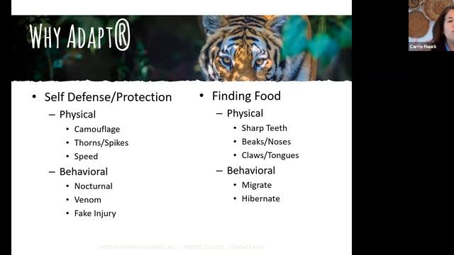 Columbus Zoo Virtual Adventure - Animal Adaptations смотреть онлайн