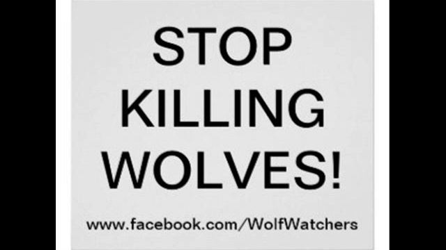 The Wolves stop the killing back ground thema music theme смотреть онлайн
