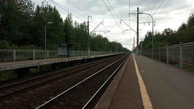 Летняя Витебка. Восемь грузовых за шесть часов на перегоне Вырица - Новинка. Июль 2024 года. Окт Ж/Д смотреть онлайн