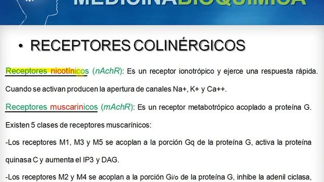 RECEPTORES ADRENÉRGICOS Y COLINÉRGICOS смотреть онлайн