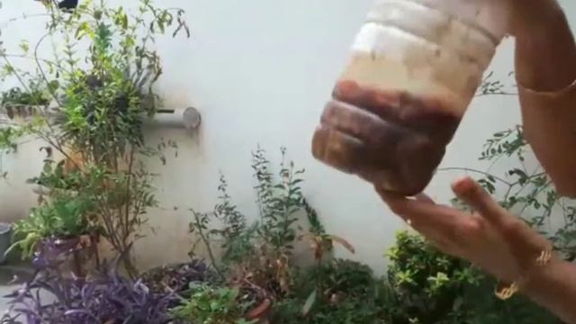 🐠🐠 fish amino acid** смотреть онлайн