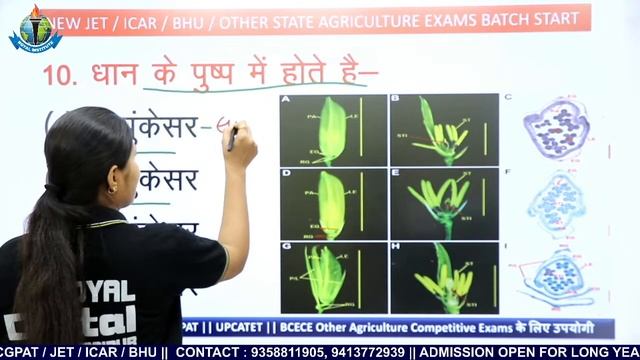 GENERAL AGRICULTURE | महत्वपूर्ण प्रश्नोतरी | किसमें कितना है दम SEASON #02 |ROYAL INSTITUTE UDAIPU смотреть онлайн