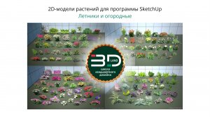 2D-растения для SketchUp. Летники и луковичные