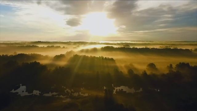Серпантин смотреть онлайн
