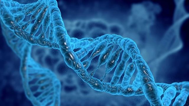 Это дело не могли раскрыть 26 лет фильм ужасов в реальной жизни смотреть онлайн