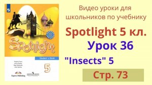 Spotlight 5 класс (Спотлайт 5) Английский в фокусе 5кл._ Урок 36, Unit 5 стр.73