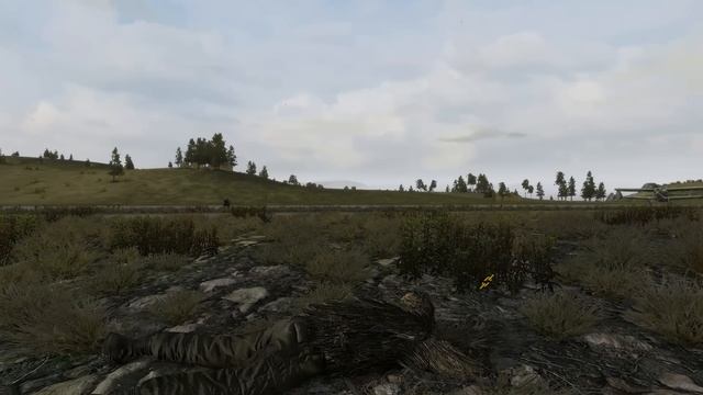ARMA 2 Highlights: Hiding in Plane Sight смотреть онлайн