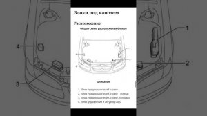 Тойота Камри 20 (Грация) – предохранители и реле