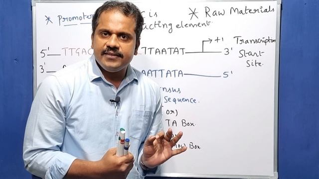 Raw Materials Required For Transcription.