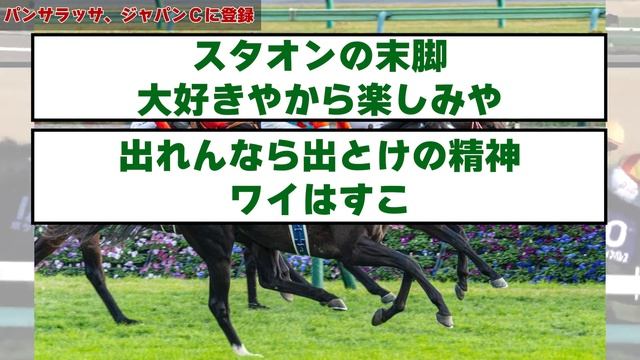 【2ch】パンサラッサ、ジャパンＣに登録【競馬】 смотреть онлайн