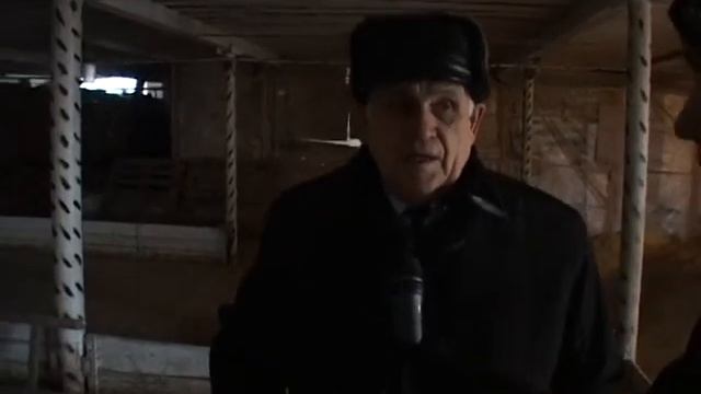 GUSI смотреть онлайн