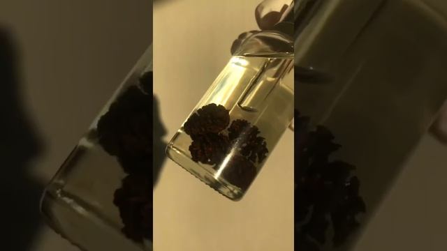 EVSI SAYURI HITOMI Масло - SOS для проблемной и склонной к раздражению кожи, 30 мл смотреть онлайн