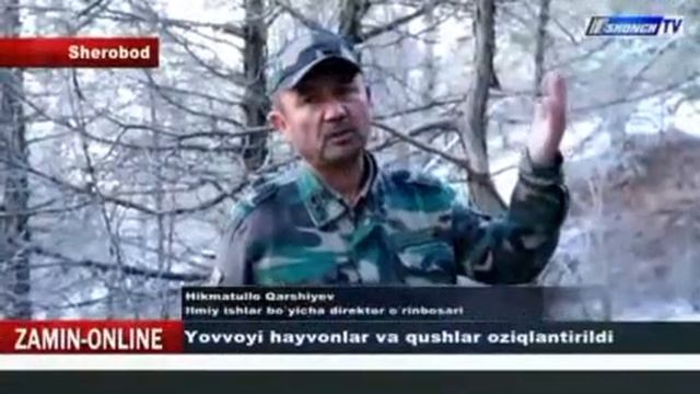 Surxondaryo Viloyati. Yovvoyi Qushlar Va Hayvonlar Oziqlantirildi