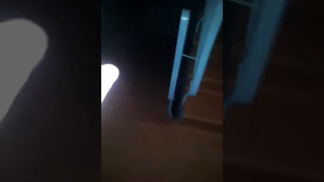 Инквизитор-гопник в падике смотреть онлайн